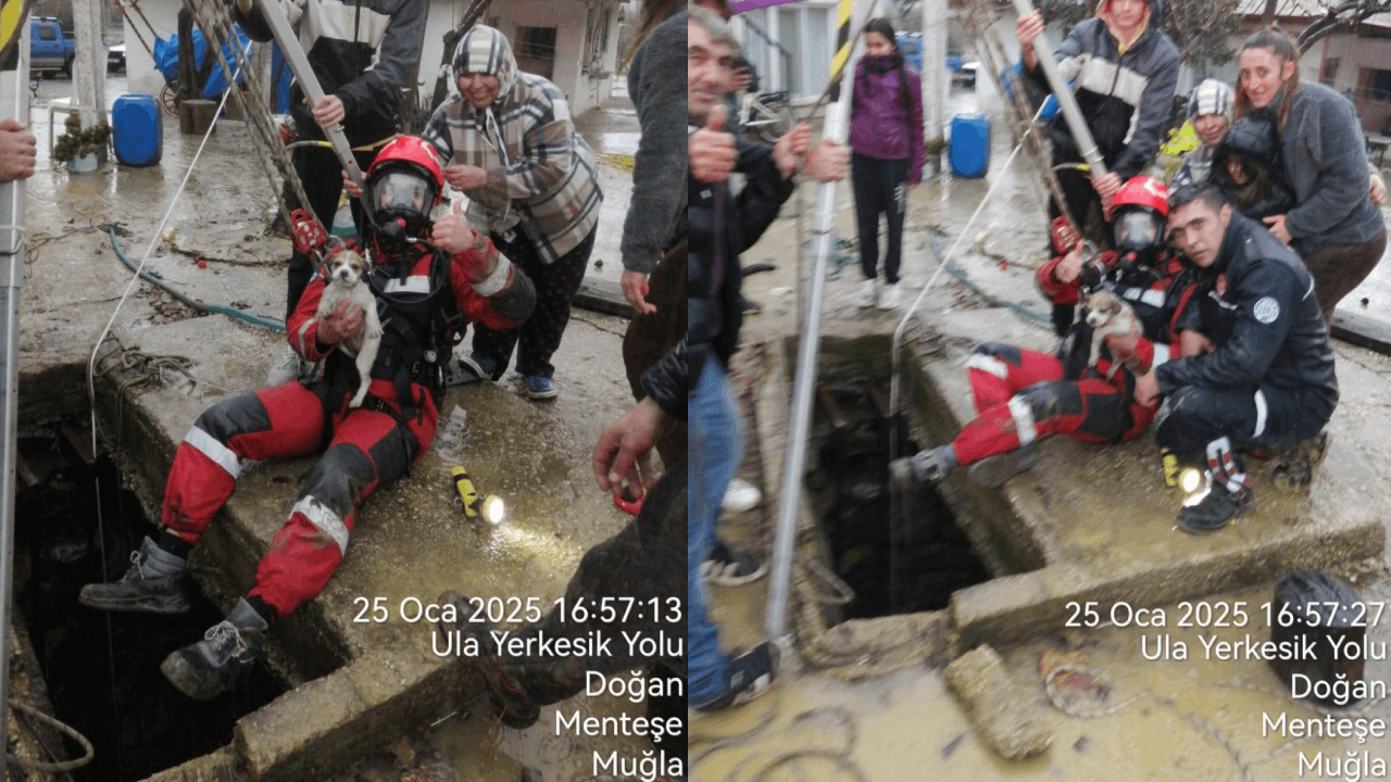 Muğla’da kuyuya düşen yavru köpeği kurtarmak için seferber oldular