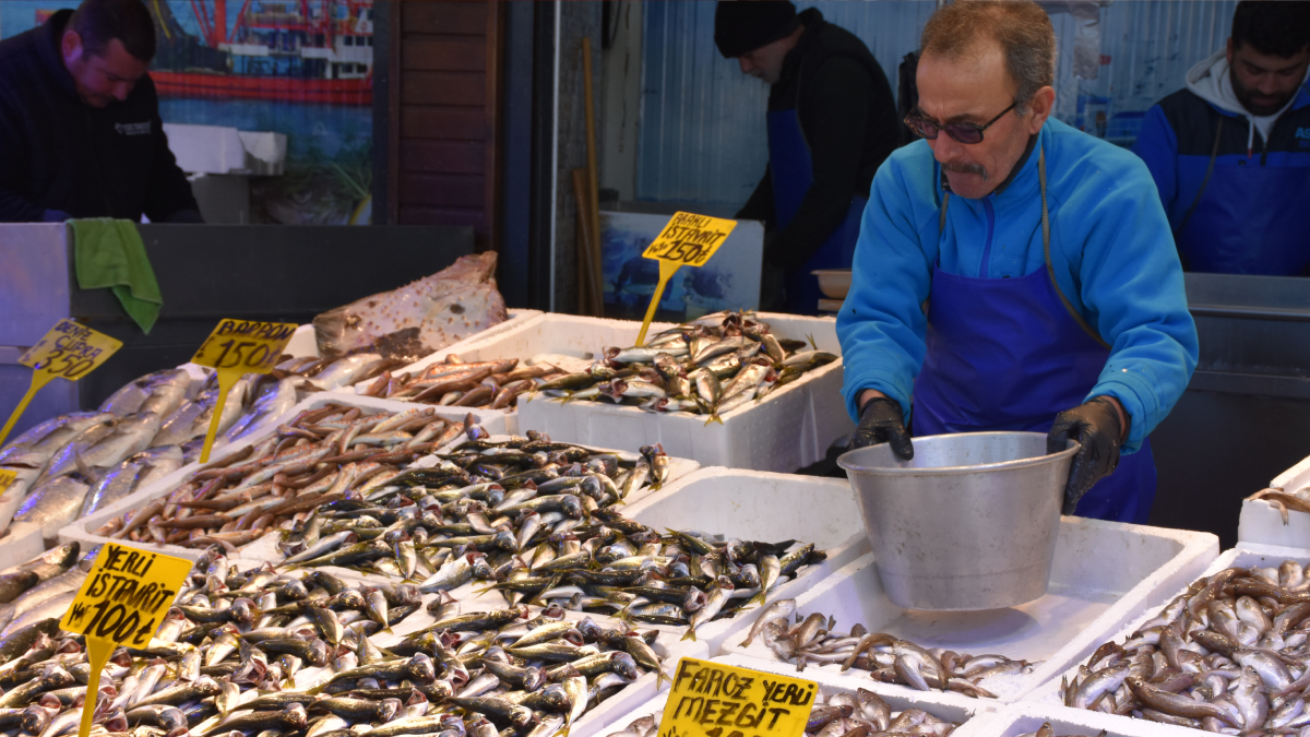 Trabzon'da mezgit ve istavritin kilosu 100 liraya düştü