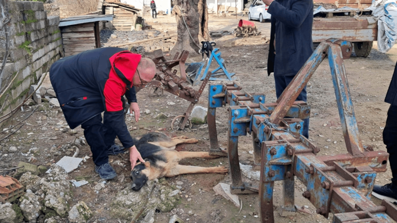 Bahçesine gelen köpeği av tüfeğiyle vurdu