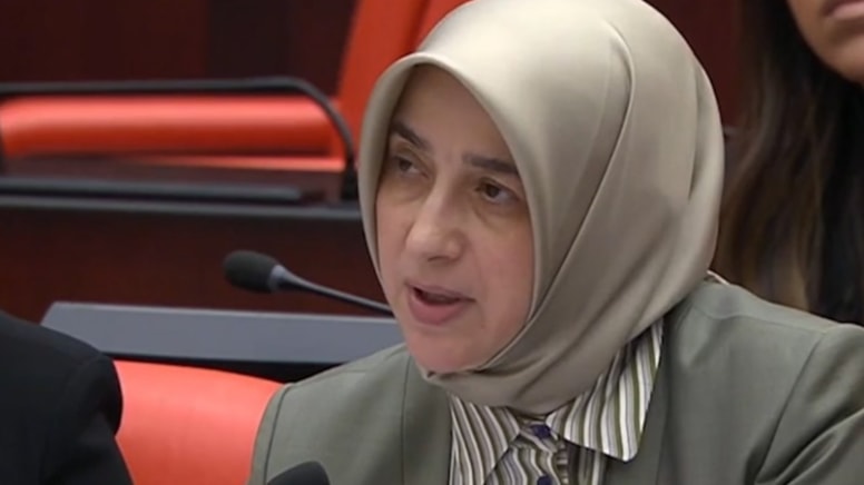 AKP'li Özlem Zengin, uçak sözleri tepki görünce geri adım attı
