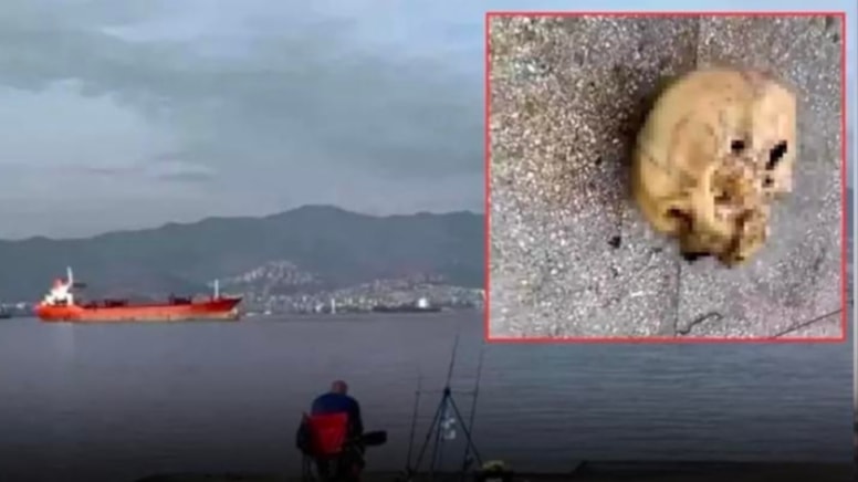 İzmir'de korkunç olay! Oltaya insan kafası takıldı