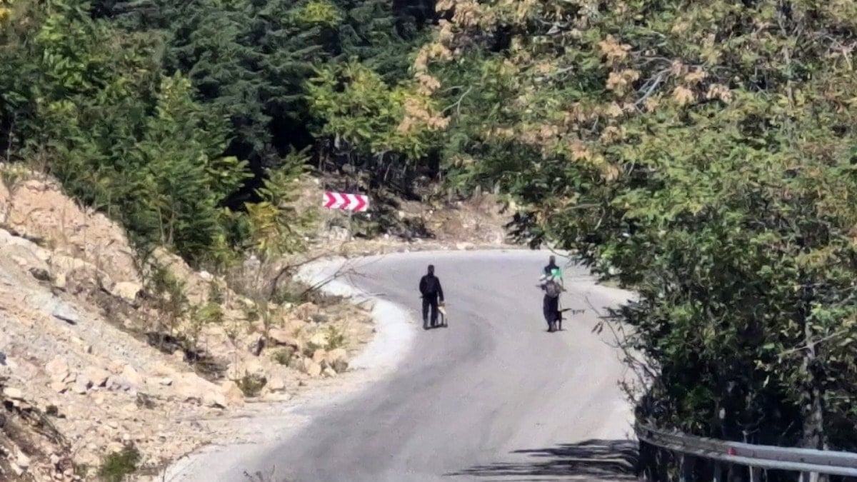 'Zirveye yakınım' dedikten sonra bir daha gören olmadı