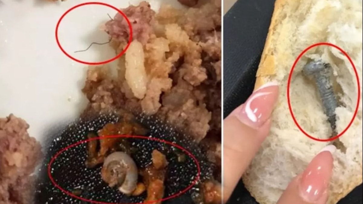 Salyangozlu patates, cıvatalı menemen, kıllı ciğer tava, vidalı ekmek... Önce siz yiyin beyler!