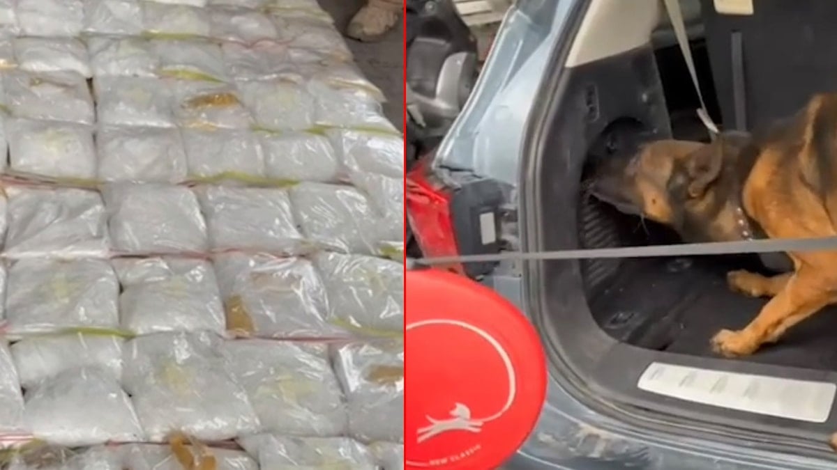 100 kiloluk uyuşturucu sevkiyatı polise takıldı