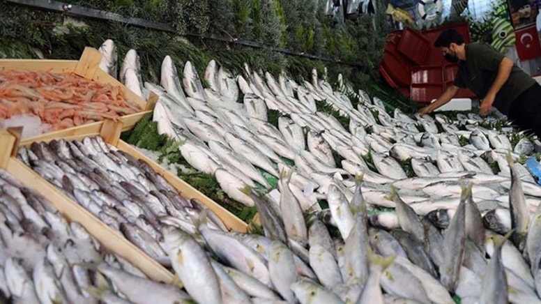 Vücudu resetleyip D vitamini depolayan balıklar açıklandı