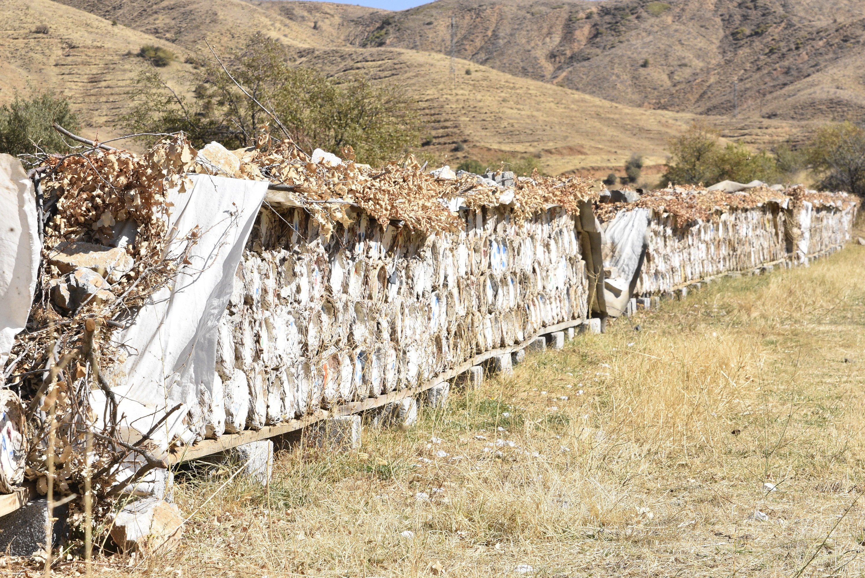 Etrafı çamurla sıvanan kovanlarda hasat başladı: Kilosu 3 bin 500 lira