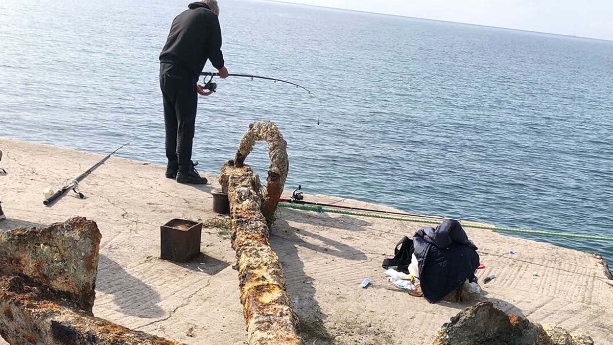 Çanakkale’de balıkçıların ağına takıldı: Tam 3 ton...