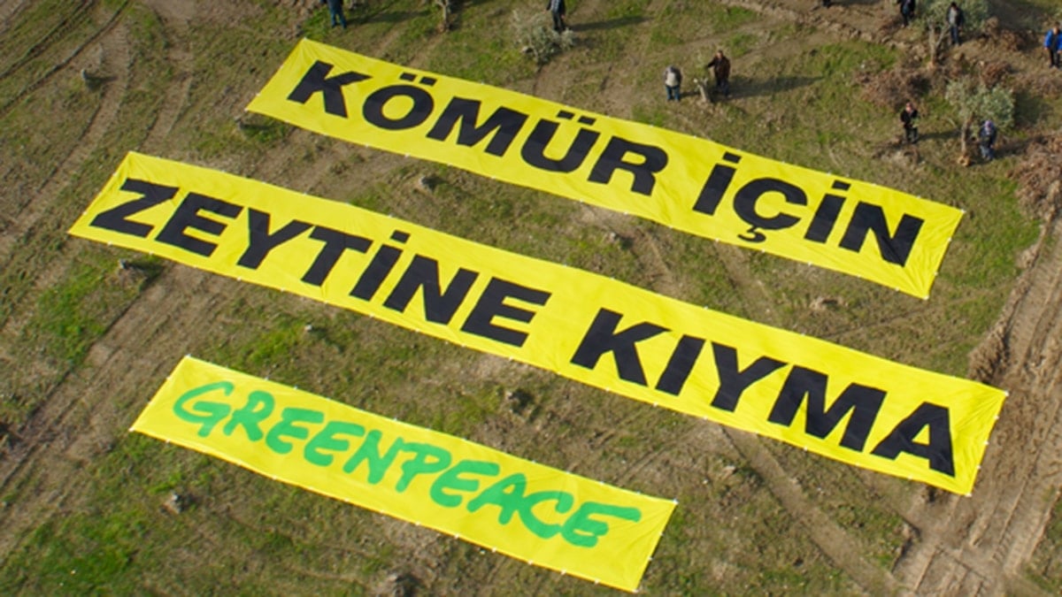 Greenpeace Akbelen’e destek kampanyası başlattı
