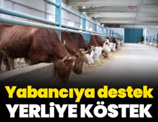 El apoyo a los extranjeros perjudica a los locales.