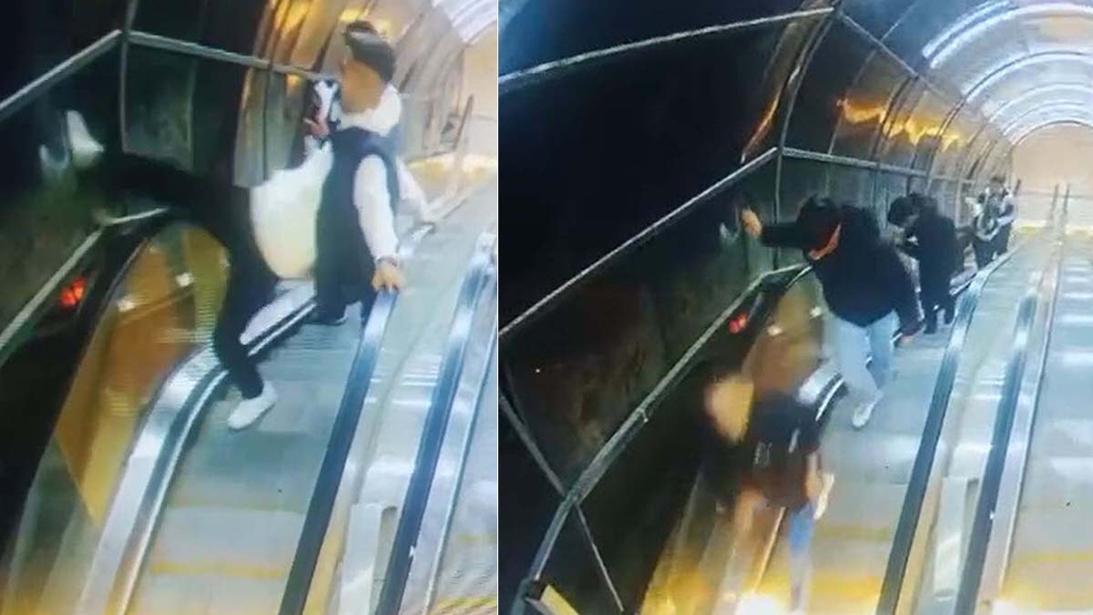 Şehir magandaları gözaltına alındı