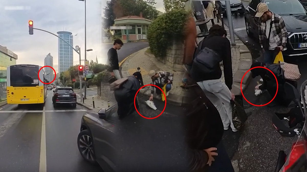 Otobüse çarpan martı kalp masajıyla hayata döndü