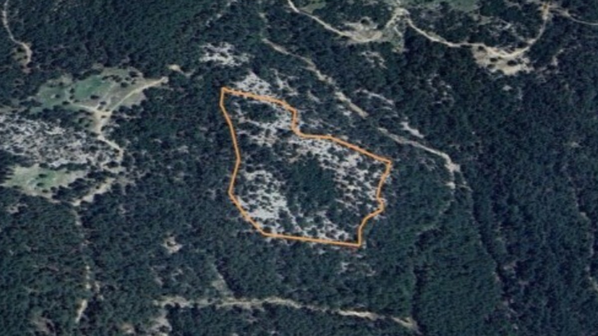 Ormanlık alana maden ocağı projesine "ÇED olumlu" kararı