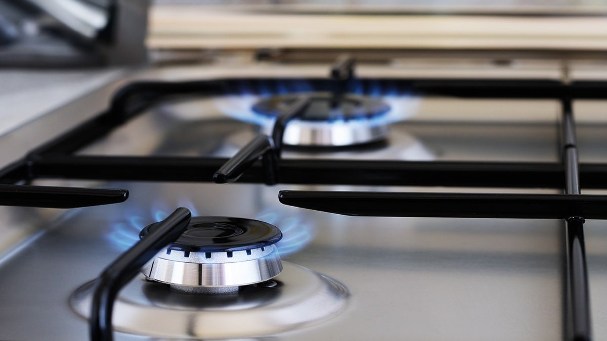 50 yıl boyunca bu gerçeği hepimizden gizlemişler 