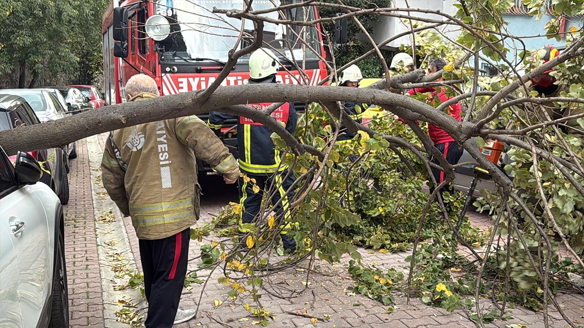 İstanbul'da şiddetli rüzgarın etkisiyle  Ağaç ve elektrik direği araçların üzerine devrildi