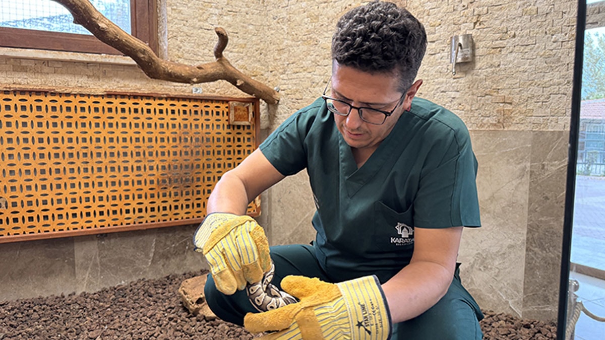 Konya'da rutin kontrolde cebinden piton çıktı