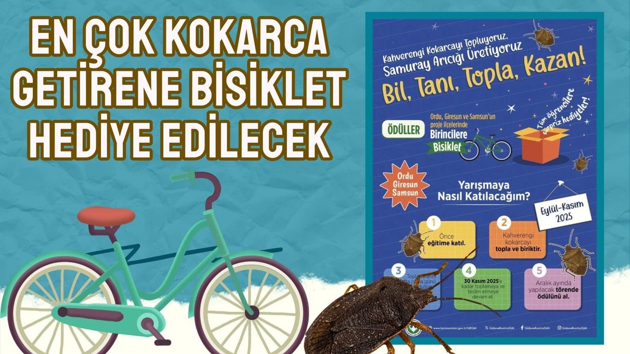 s12bisikletjpg-dDSbex-onEyL2KrwxEgGAw.jpg