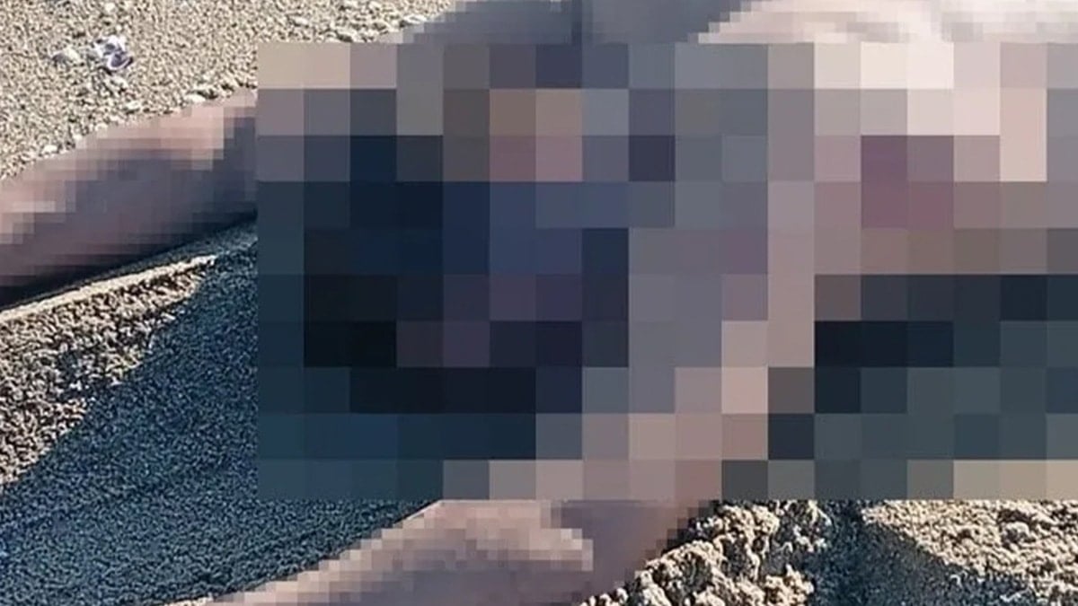 Sakarya'da vatandaşlar fark edip gördü! Genç erkeğin cansız bedeni bulundu