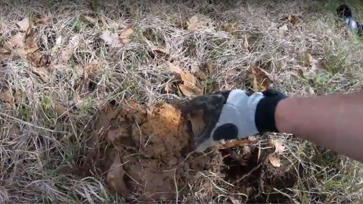 İnşaatta çalışırken 700 yıllık hazine buldu