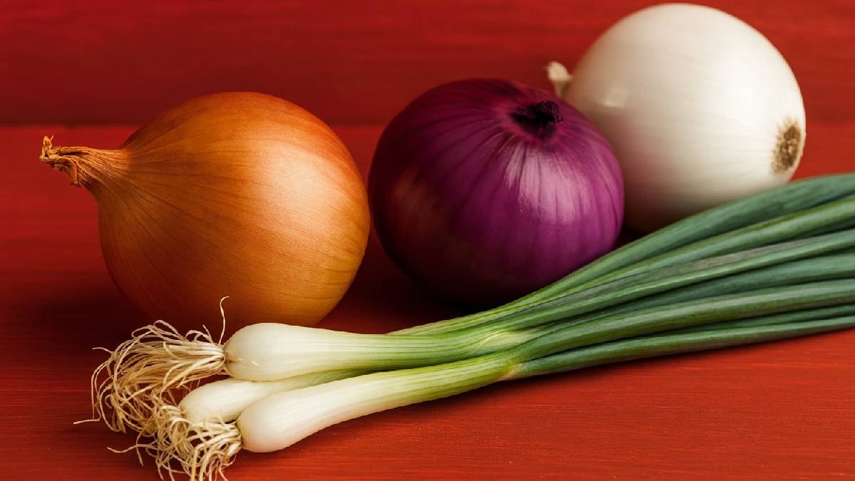 En sa�l�kl� so�an belli oldu