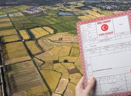 Yatırımcılar listedeki 5 şehirde tapu almak için sıraya girdiİstanbul'da arsa bütçesi yetersiz kalan veya alternatif alan arayan yatırımcılar çevre illere yöneliyor. Metropoldeki fiyat artışları nedeniyle listedeki 5 şehirde arsa talebinde artış görülüyor.
