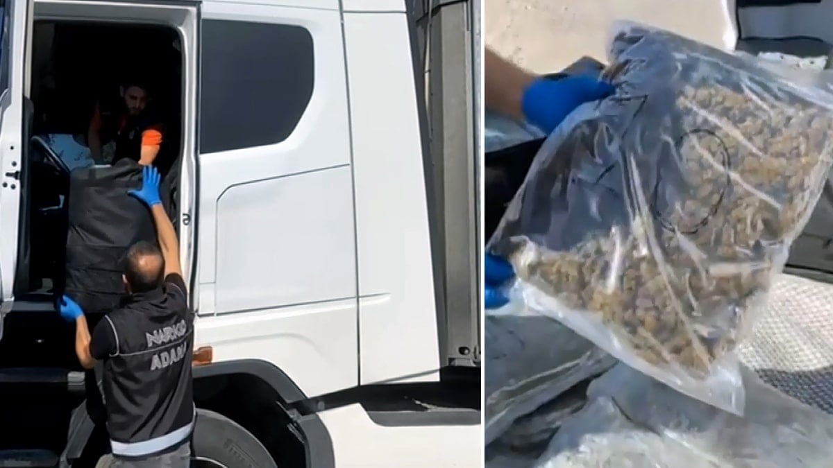 TIR’daki valizlerden 55 kilo skunk çıktı: ‘Arkadaşım rica etti’