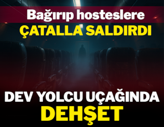 Horror en un avión de pasajeros gigante: ¡Gritó y atacó a las azafatas con un tenedor!
