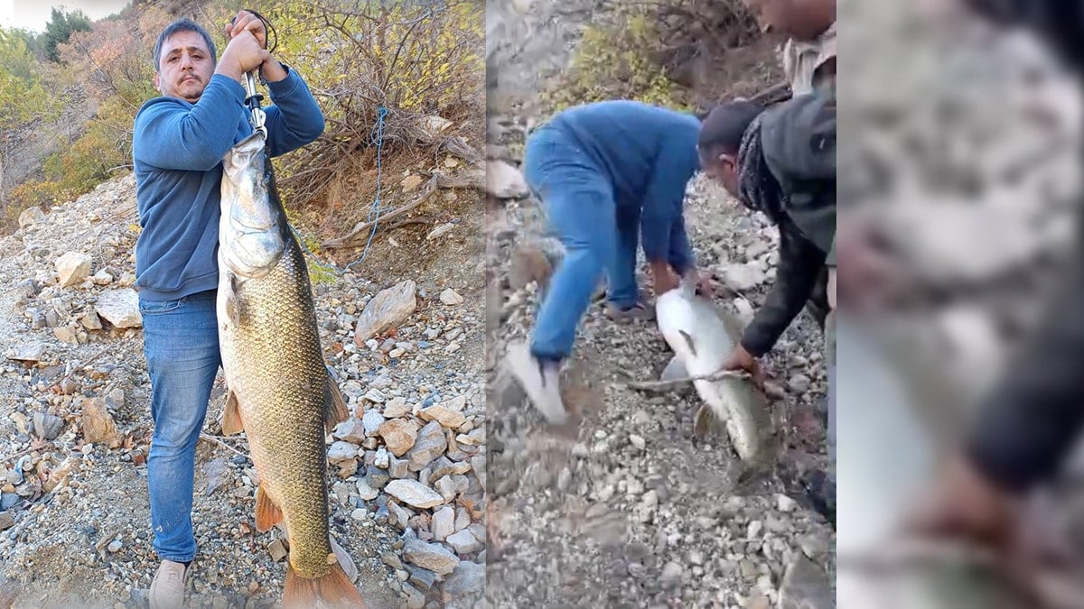 Gören bir daha baktı! Tam 32 kilo