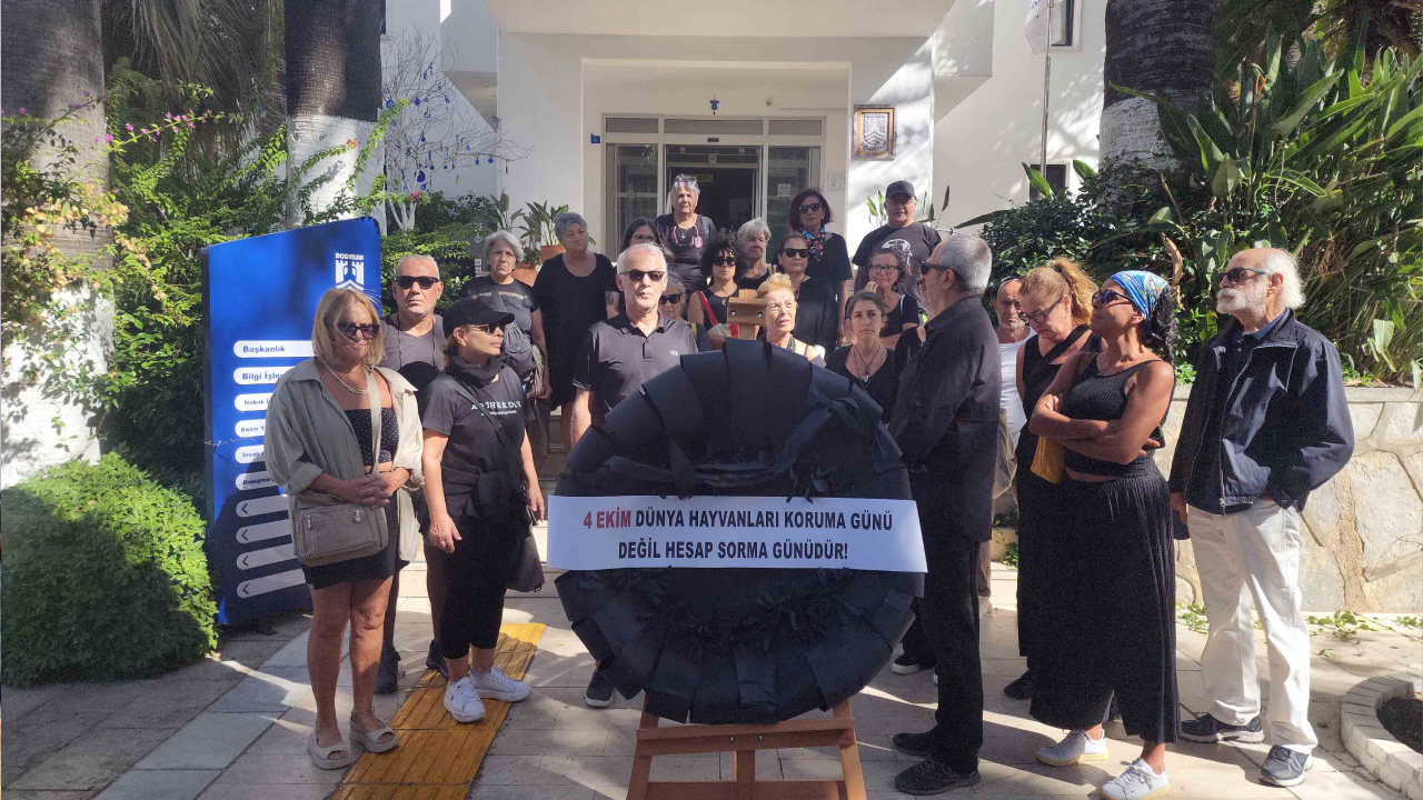 Hayvanların toplanmasını protesto ettiler belediyeye siyah çelenk bıraktılar