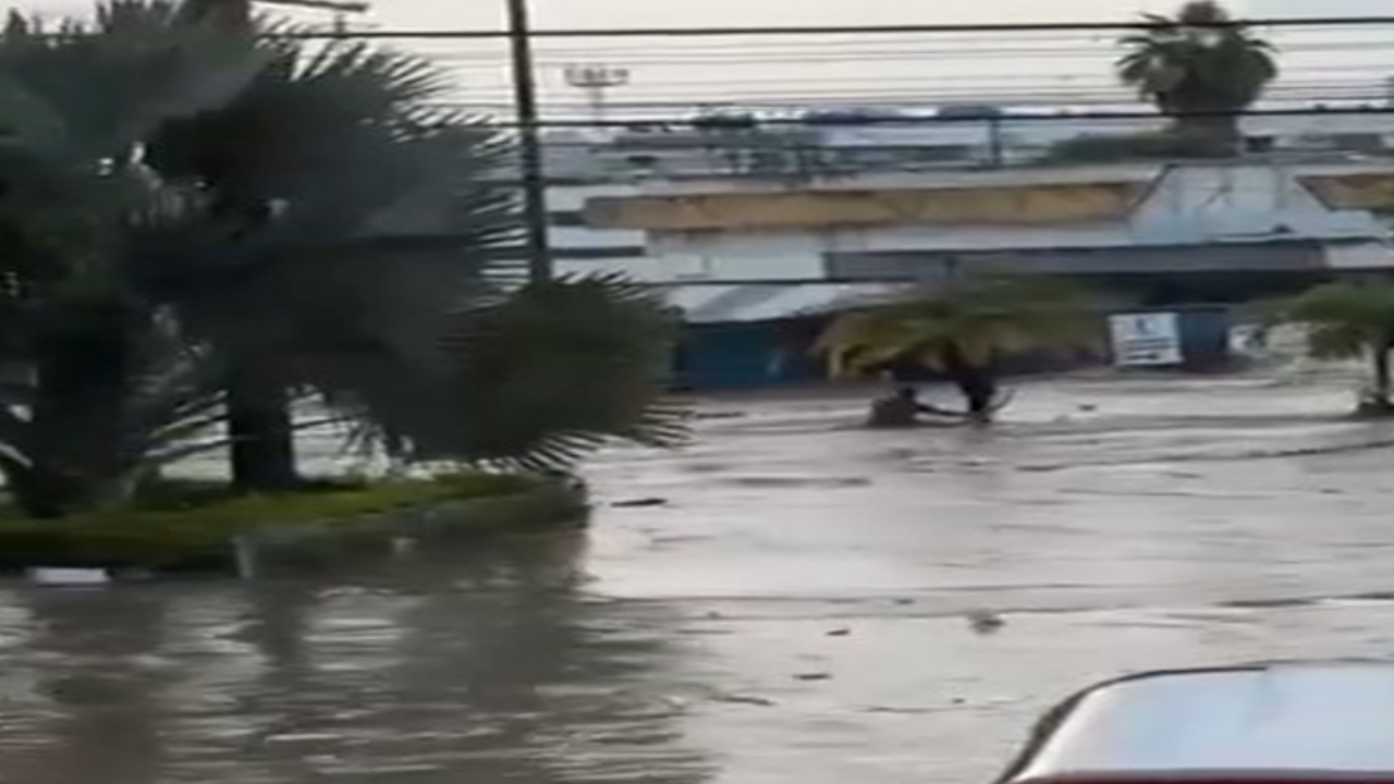 Meksika'da selde 41 kişi öldü