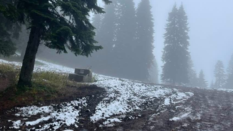 Bartın'ın yüksek kesimlerine kar yağdı