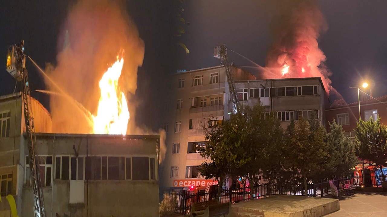 İş yerini kundaklayan kadın serbest kaldı: 'O ben değilim'