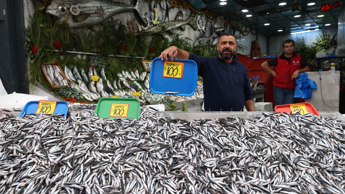 Karadeniz'de hamsi bolluğu tezgahlara yansıdı