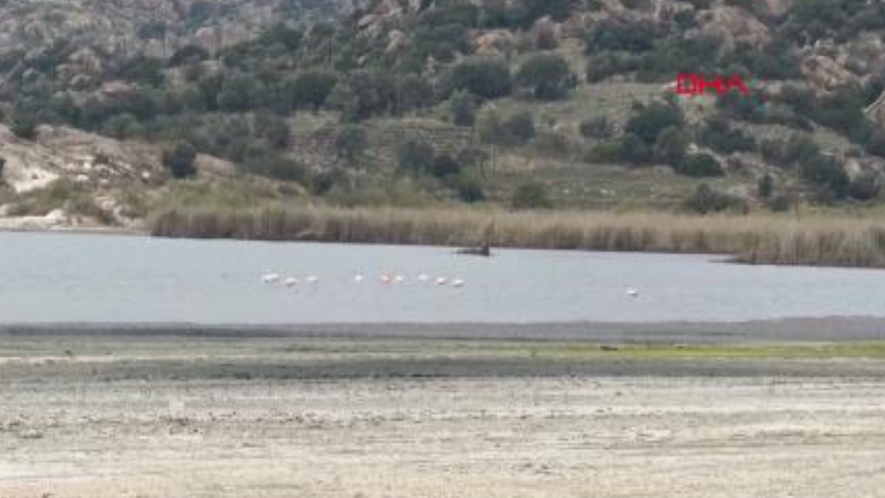 Suyu 50 metre çekilen Bafa Gölü'ne Büyük Menderes Nehri hayat verecek