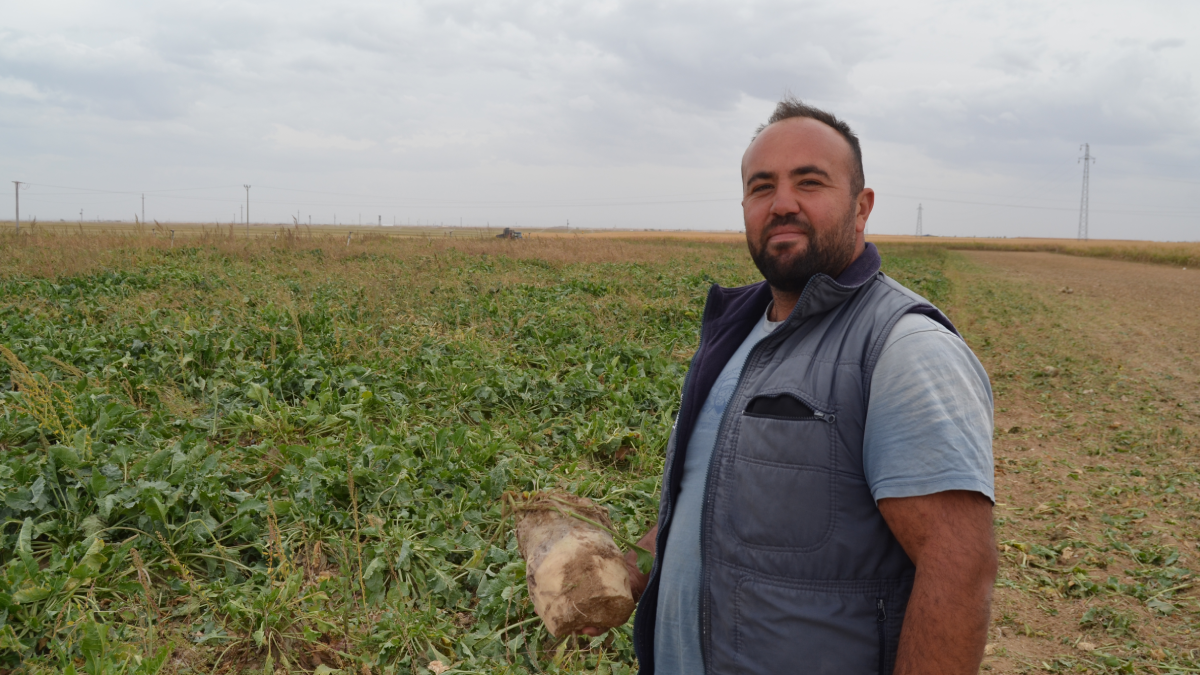 Tarlaya giren mutlu çıktı, bu yılın hasadı çiftçinin yüzünü güldürdü