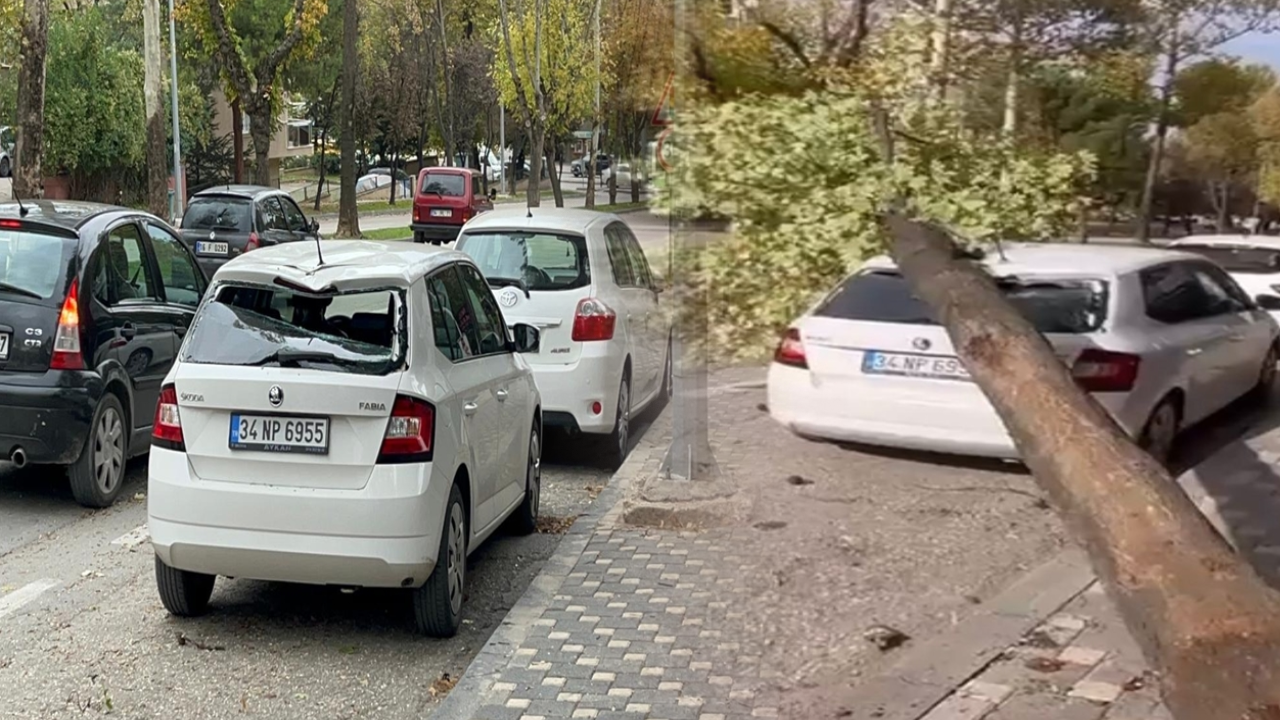 Bursa'da lodos etkili oldu; ağaçlar devrildi, çatılar uçtu