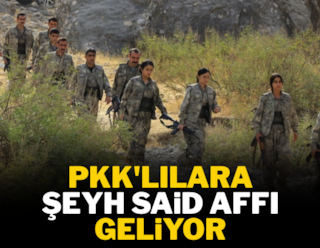 Члены РПК получили амнистию шейха Саида