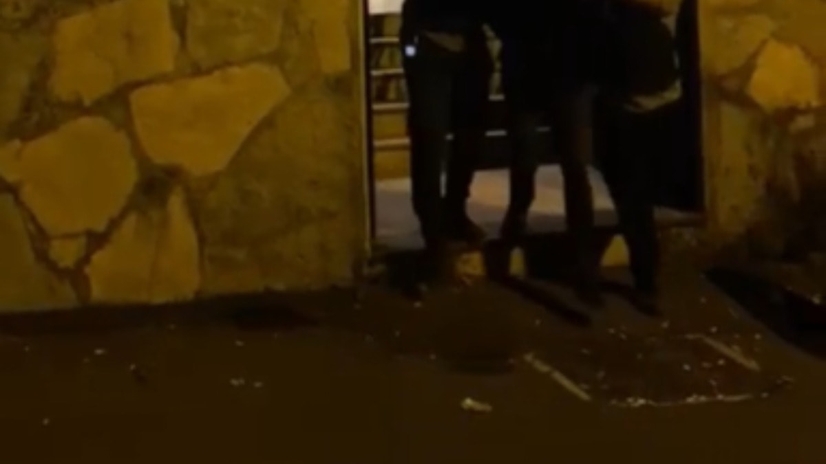 İstanbul'da dehşet gecesi: Yeğenini bıçaklayarak öldürdü