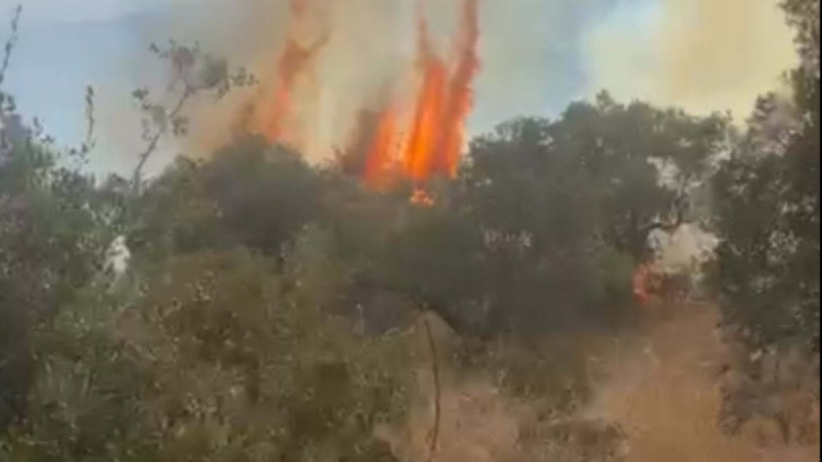 Son Dakika Haber Görseli