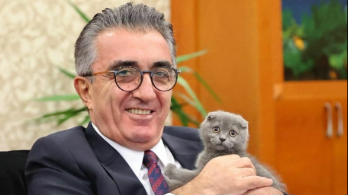 AKP'liler kediye bile tahammül edemedi!