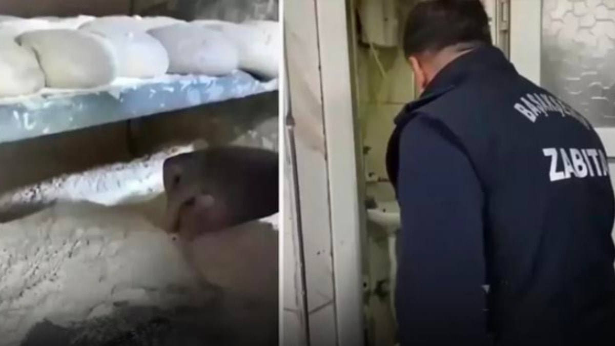 Fırında mide bulandıran görüntüler! Ekmek diye ne yiyoruz