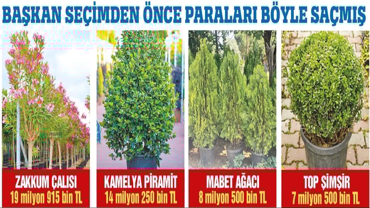 350 milyon lirayı çiçek etti!