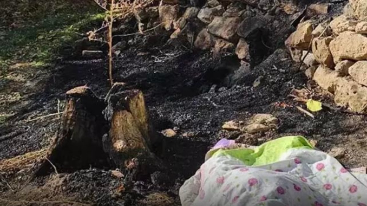 Bahçesindeki otları yakarken alevlerin arasında kalıp öldü