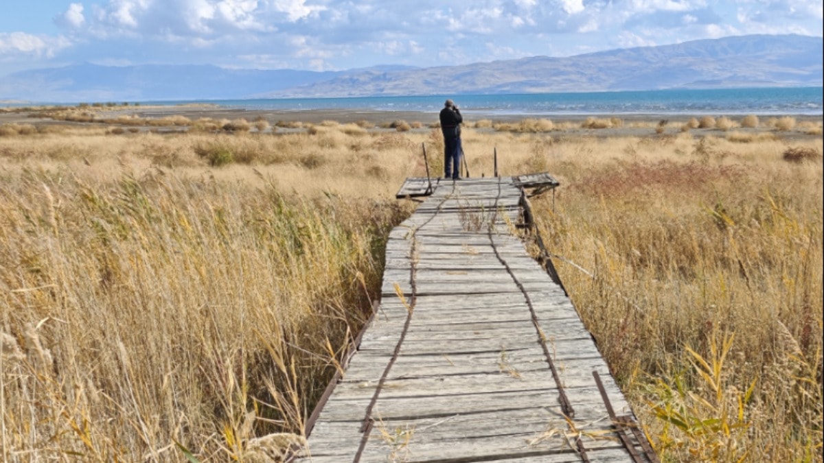 Kuraklık Van Gölü'nü vurdu