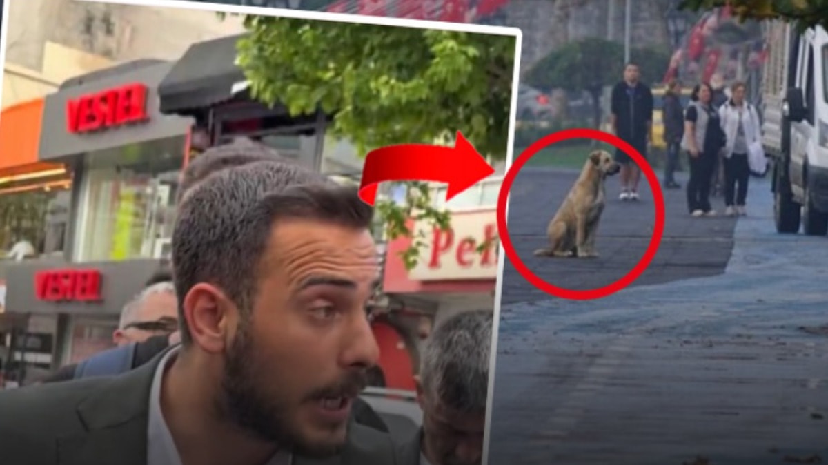 AKP'li isimden saygı duruşuna iğrenç paylaşım