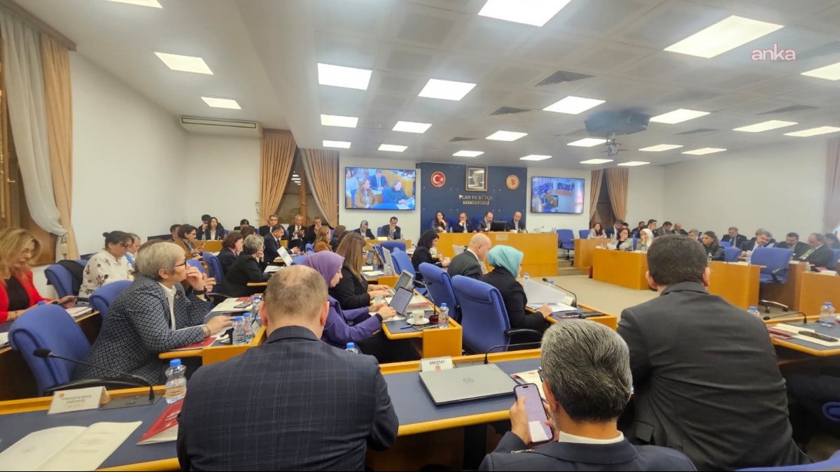 Komisyon'da gerginlik! AKP'li vekilden tepki çeken sözler