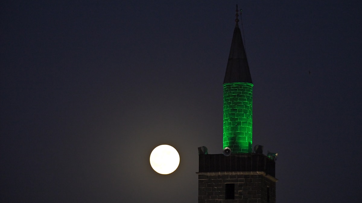 ‘Kunduz ayı’ kartpostallık görüntüler oluşturdu