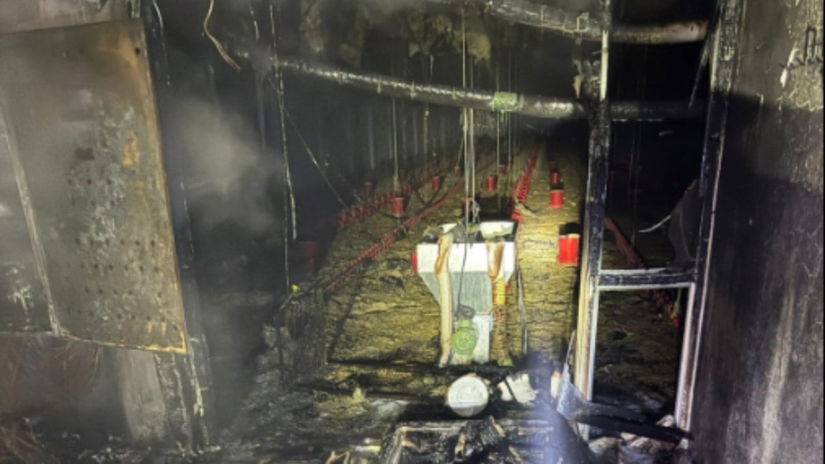 Son Dakika Haber Görseli