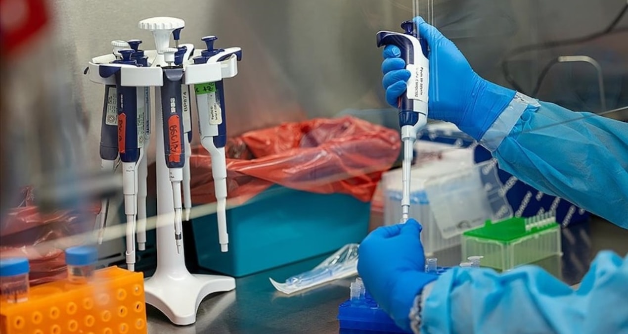 703jpg-9TXHW7Qkx0eVCj5JKsyTNg Yeni tehdit kapıda: Ölümcül virüs 4 kıtaya yayıldı