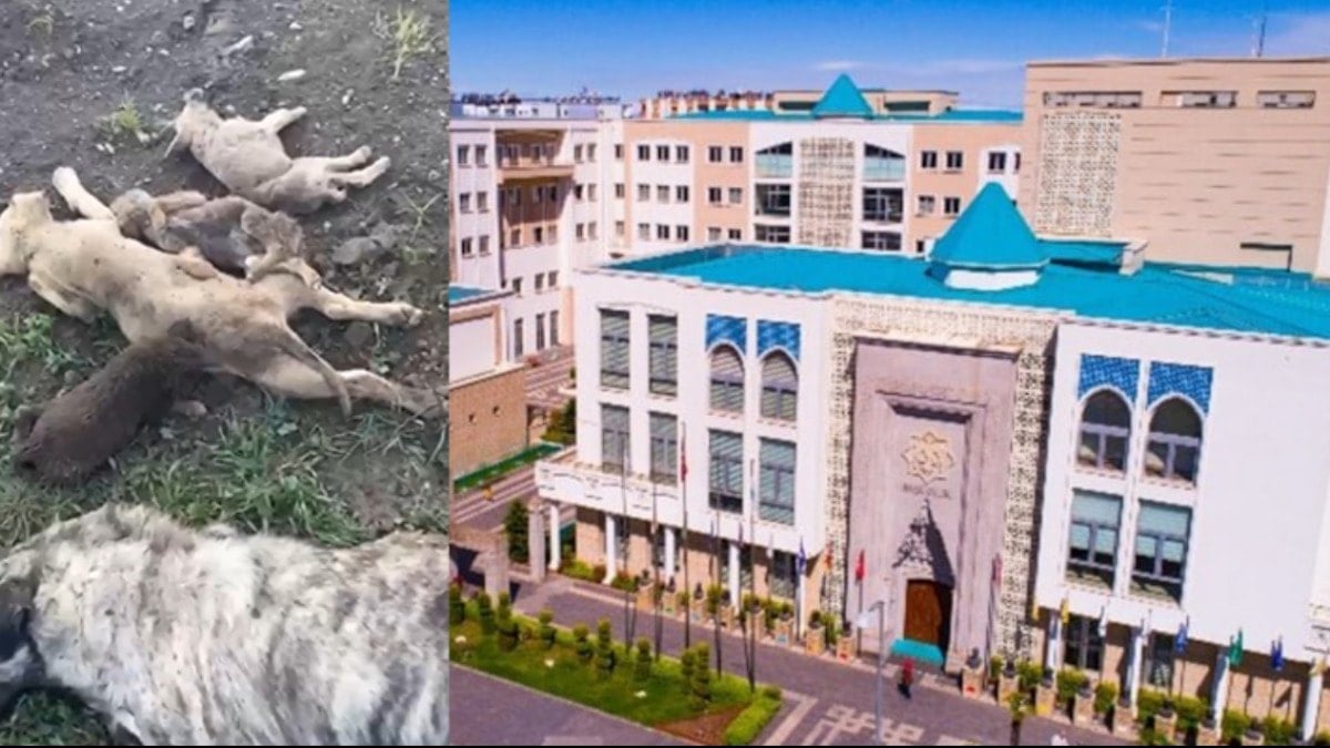 Son Dakika Haber Görseli