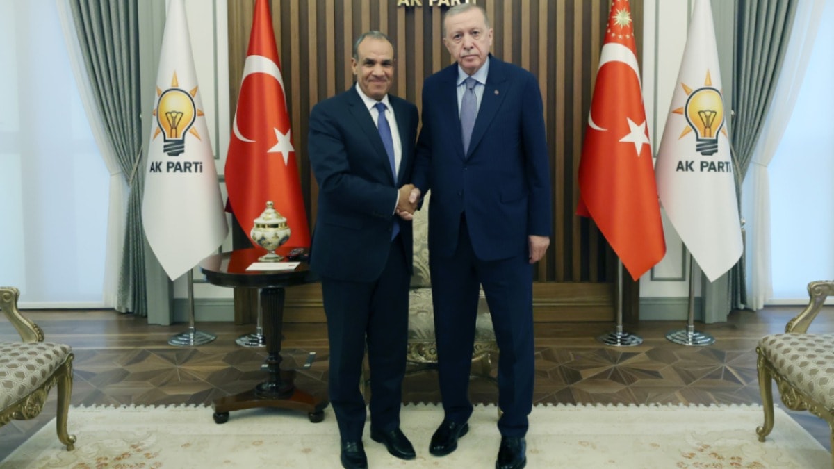 Cumhurbaşkanı Erdoğan, Mısır Dışişleri Bakanı Abdulati ile görüştü